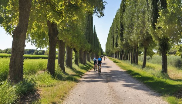 Itinéraires vélo le long du canal du midi avec le camping les violettes